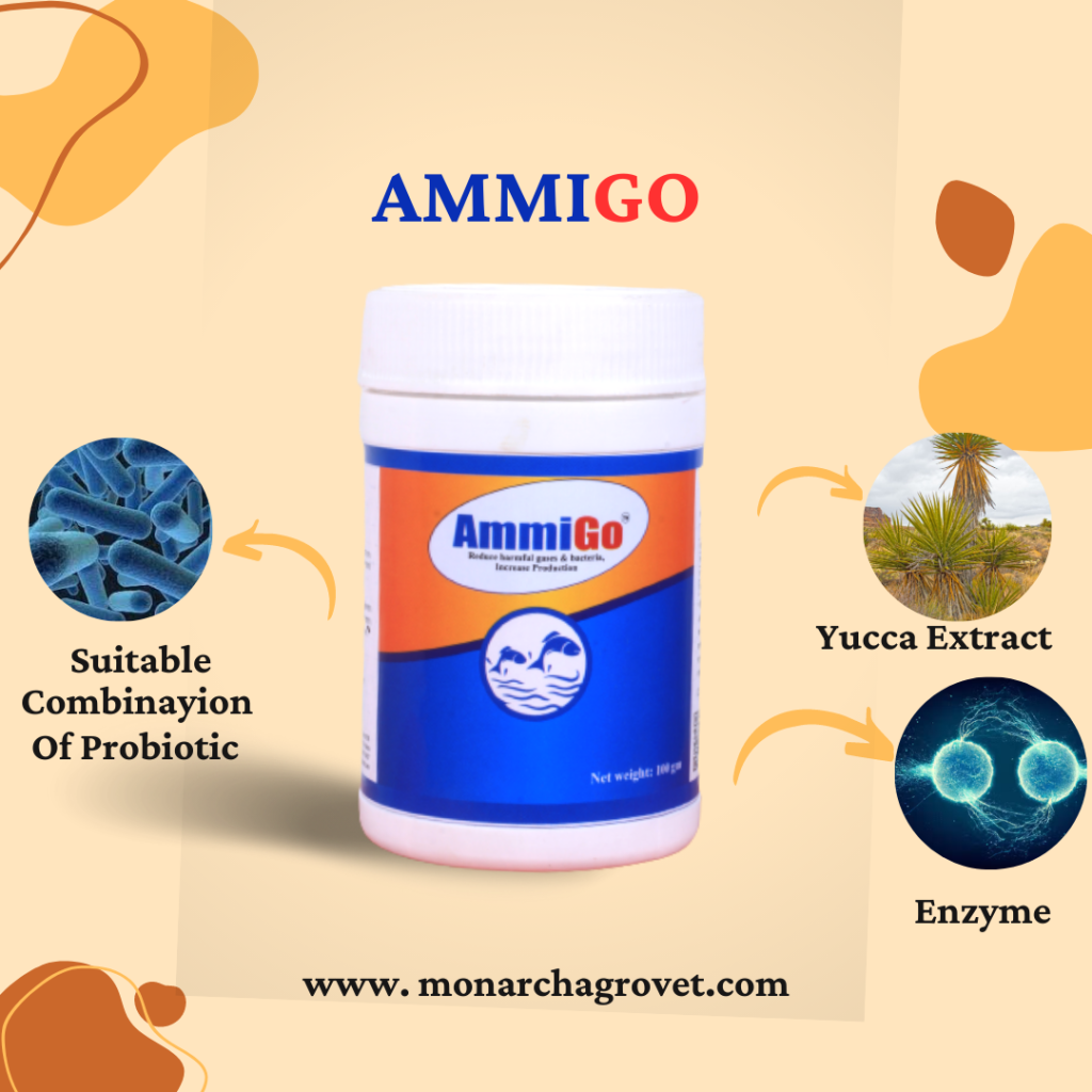 ammigo Synergistic Blend of Probiotics, Enzymes and Yucca